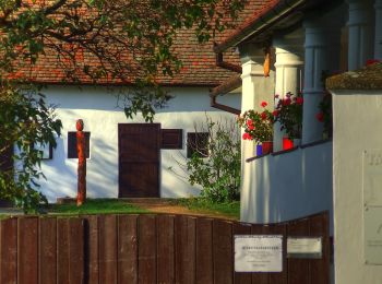 Randonnée A pied Mecseknádasd - K+ Pécsvárad – Rockenbauer Pál sírja – Zengővárkony – RPDDK - Photo