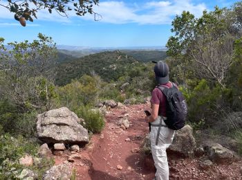 Trail Walking Darnius - Mirador sentinelle Ermitage St Estephe - Photo