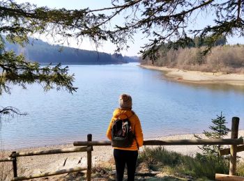 Excursión Senderismo Bütgenbach - Le tour du lac de Bütgenbach  - Photo