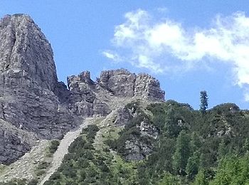 Trail On foot Forni di Sopra - IT-369 - Photo