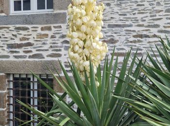 Randonnée Marche Le Vivier-sur-Mer - RA 2023 Cancale - Photo