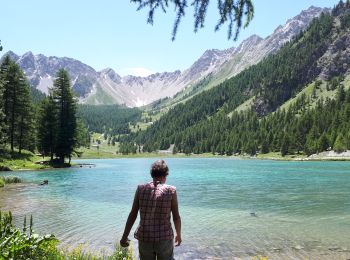 Trail Walking Villar-Saint-Pancrace - 190628orceyrette - Photo