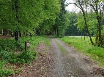 Excursión Bici de montaña Gouvy - randonnée vtt - Photo