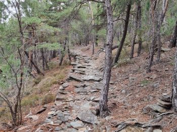 Trail Walking Malarce-sur-la-Thines - malarce  - Photo