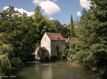 Excursión Senderismo Rémalard en Perche - La Nymphe du Perche 5,0 Km - Photo