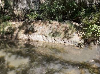 Tour Wandern Lussas - Le canyon de la Louyre - Photo