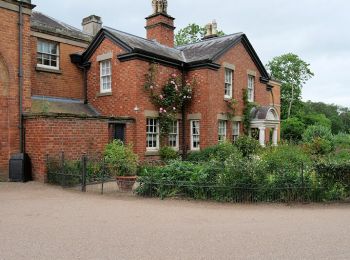 Tocht Te voet  - Attingham Park autumn light walk - Photo