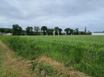 Excursión Bici de carretera Meillac - combourg gare - Photo