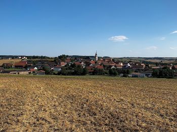 Excursión A pie Großrinderfeld - Liebliches Taubertal – Rundwanderweg 12 – Bildstöcke und Wegkreuze - Photo