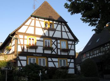 Tocht Te voet Ettlingen - Weiligquelle - Bahnhof Bruchhausen - Oberweier - Waldsaumhalle - Photo