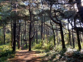 Excursión Senderismo Le Crotoy - Vers Le Crotoy - Photo