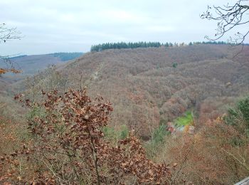 Randonnée A pied Dommershausen - Traumschleifen SaarHunsrück Baybachklamm - Photo