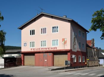 Tour Zu Fuß Gemeinde Piesting - Markt Piesting Waldbad - Rotes Kreuz - Dreistetten - Marchgraben Rundwanderweg - Photo