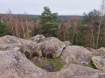 Randonnée Marche Fontainebleau - Boucle Fontainebleau - Photo