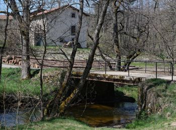 Percorso A piedi Saillant - Le Creux-de-l'Oulette - Photo