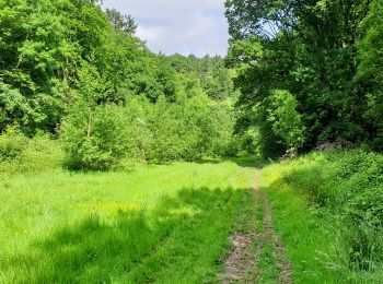 Tour Wandern Huldenberg - Tomme - Photo