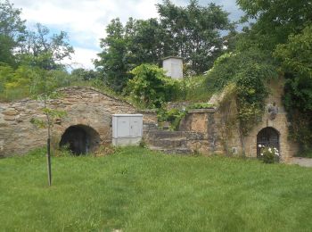 Tocht Te voet Edelstal - Feldhasenmarsch (Rundwanderweg) - Photo