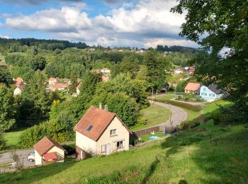 Randonnée Marche Meisenthal - 220930 Meisenthal 3 km - Photo