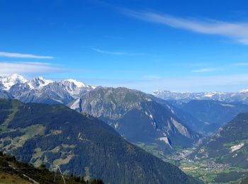 Tour Wandern Val de Bagnes - La Haute Route : J2 - Photo