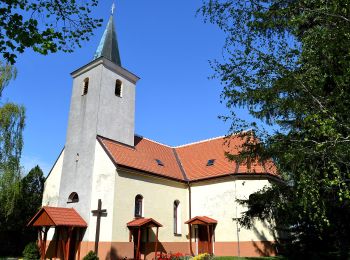 Excursión A pie okres Pezinok - Náučný chodník Majdan - Photo