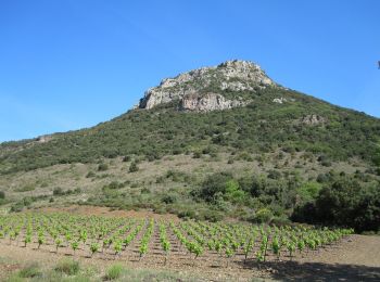 Tour Wandern Cabrières - Château de Cabrières et Pic de Vissou - Photo