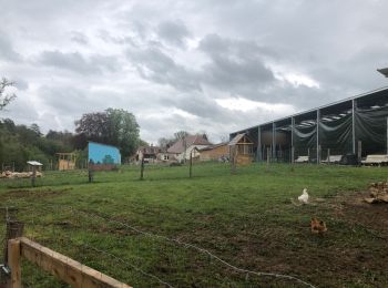 Randonnée Autre activité Filain - Parc de guiguitte en folie ( les ridets) - Photo