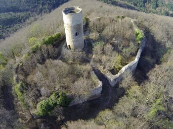 Tour Reiten Günsbach - Randonnée Equestre Chateaux du Pflixbourg et Hohlandsbourg - Photo