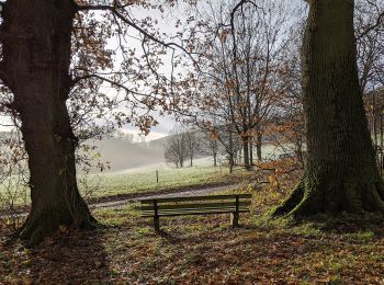 Tocht Te voet Salzhemmendorf - CO4 Pilgerweg - Photo