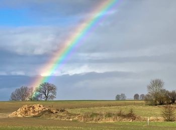 Tour Zu Fuß Hoegaarden - SityTrail - Frank - Photo