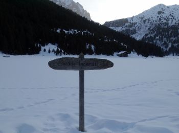 Randonnée Raquettes à neige Les Allues - Méribel-G3 - Photo