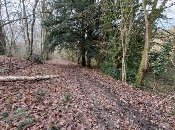 Tour Wandern Valorbiquet - St Cyr du Ronceray  - Photo