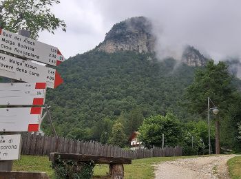 Percorso A piedi Mezzocorona - IT-O506 - Photo