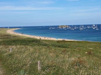 Excursión Senderismo Île-d'Houat - île d'ouat - Photo