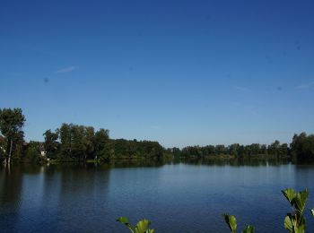 Tocht Te voet Weiherhammer - Wanderweg Nr. 3 - Photo