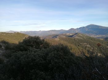 Tocht Stappen Suzette - petit circuit Saint amand - Photo