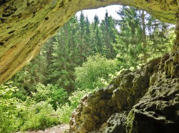 Tocht Te voet Pottenstein - Haßlacher Rundwanderweg - Photo