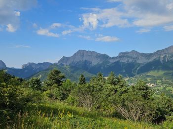 Excursión Senderismo Gresse-en-Vercors - Pas de Serpaton et crêtes, de Gresse en Vercors - Photo