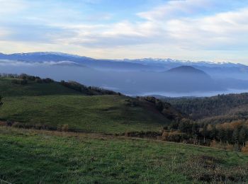 Trail On foot Valmigère - La Malboisie - Photo