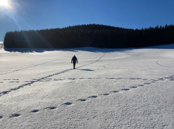 Tour Wandern Besse-et-Saint-Anastaise - Pealat. 2 - Photo