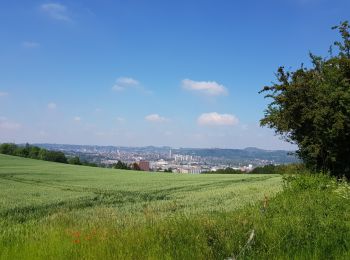 Tocht Stappen Luik -  Jupille-sur-Meuse - Photo