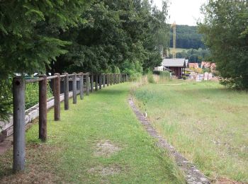 Tocht Te voet Thalmässing - Mittelalterweg - Photo