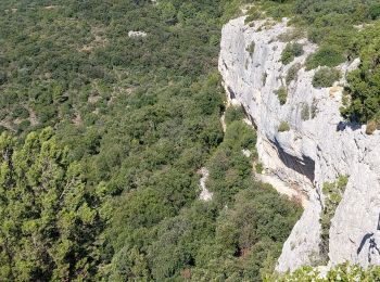 Trail Walking La Caunette - La Caunette  - Photo