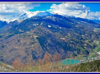 Randonnée A pied Vezza d'Oglio - Sentiero dei Boschi - Photo