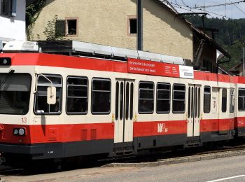 Percorso A piedi Hölstein - Hölstein-Langenbruck - Photo