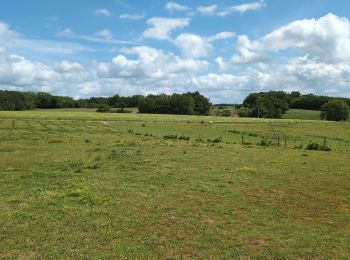 Excursión Senderismo Lignières-de-Touraine - Lignières-de-Touraine - Zig zag Château de l'Islette - 25.9km 365m 5h30 (30mn) - 2024 05 26 - Photo