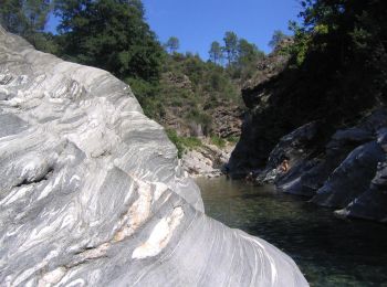 Excursión A pie Saint-Étienne-Vallée-Française - Sentier d'Auriol - Photo