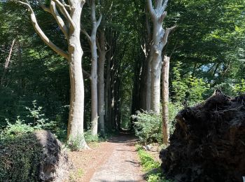 Excursión Senderismo Bergen op Zoom - Bergen op Zoom bos Binnenschelde 15,1 km - Photo