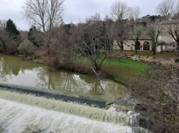 Trail Walking Barbaste - Cauderoue Ste Catherine Cauderoue - Photo