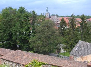 Tour Zu Fuß Bad Belzig - Terrainkurweg 07 Bad Belzig - Photo