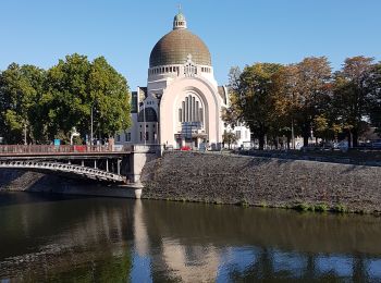 Tocht Stappen Luik - A la découverte de Liège - Photo